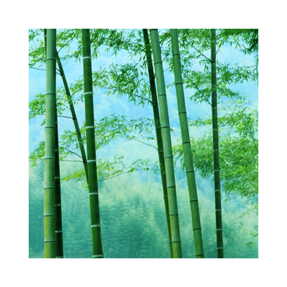 Green Bamboo